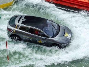 Jaguar in water obstacle